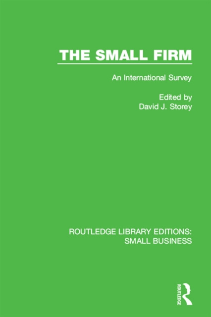 E-Book Small Firm David J. Storey