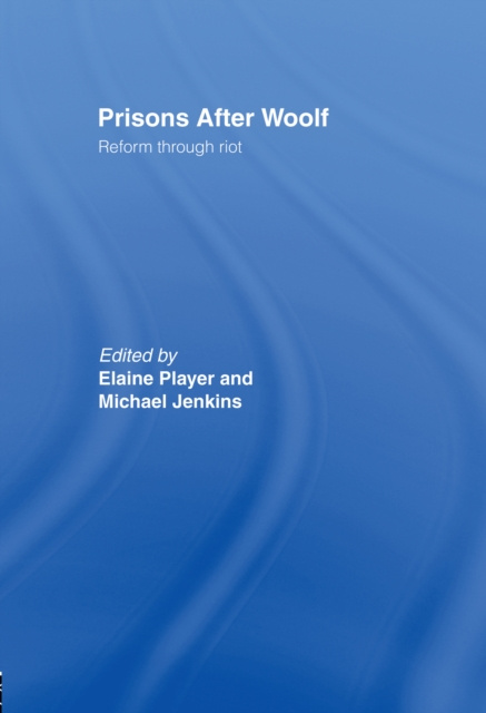 E-book Prisons After Woolf Elaine Player