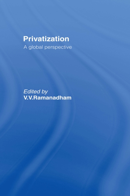 E-knjiga Privatisation V. V. Ramanadham