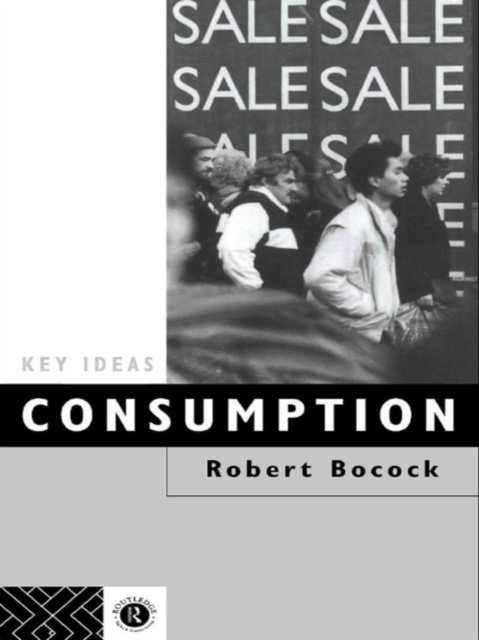 E-book Consumption Dr Robert Bocock