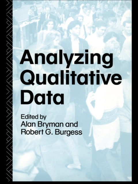 E-book Analyzing Qualitative Data Alan Bryman