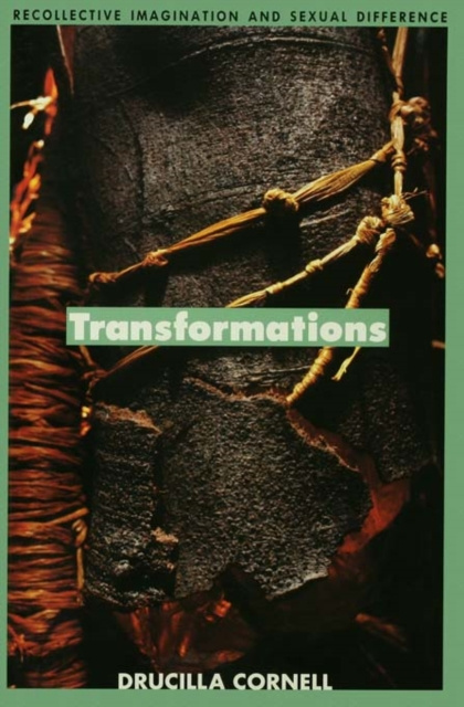 E-knjiga Transformations Drucilla Cornell