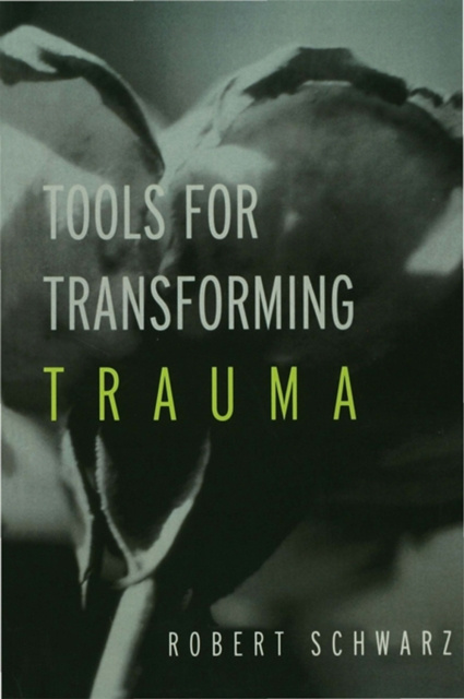 E-book Tools for Transforming Trauma Robert Schwarz
