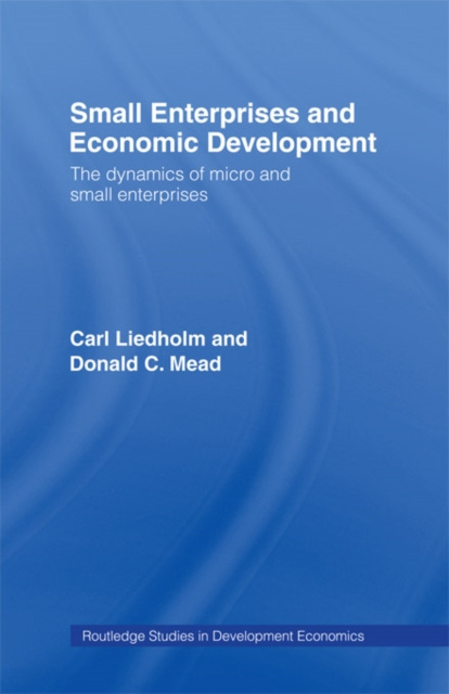 E-kniha Small Enterprises and Economic Development Carl E. Liedholm