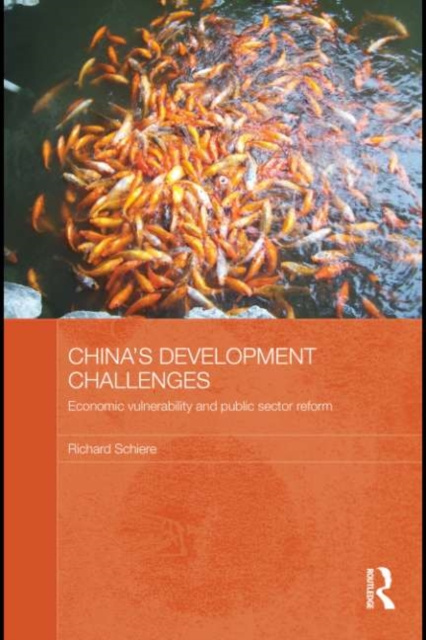 E-book China's Development Challenges Richard Schiere