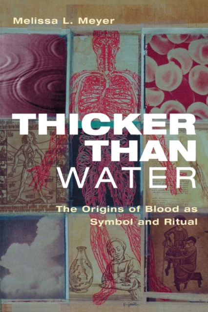 E-knjiga Thicker Than Water Melissa Meyer