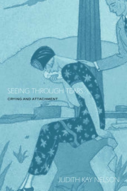 E-book Seeing Through Tears Judith Kay Nelson