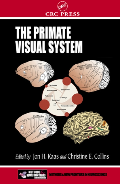E-knjiga Primate Visual System Jon H. Kaas