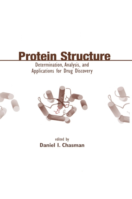 E-kniha Protein Structure Daniel Chasman