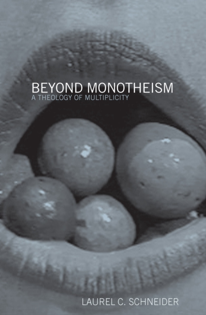 E-Book Beyond Monotheism Laurel Schneider