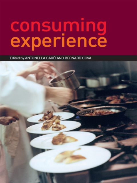 E-book Consuming Experience Antonella Caru