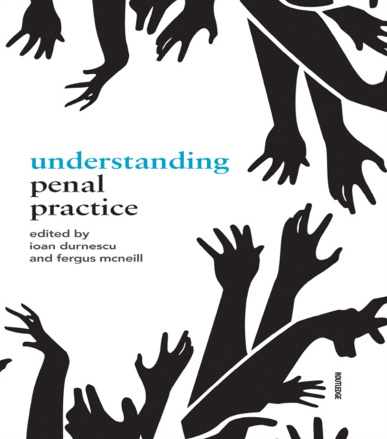 E-book Understanding Penal Practice Ioan Durnescu