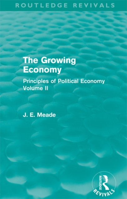 E-book Growing Economy James E. Meade