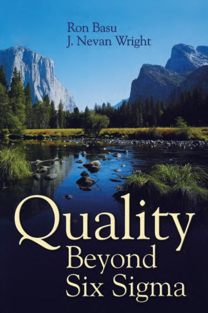 E-kniha Quality Beyond Six Sigma Ron Basu