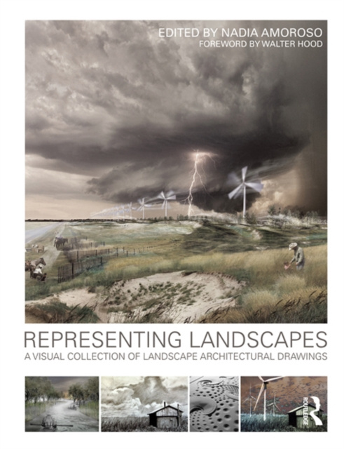 E-Book Representing Landscapes Nadia Amoroso