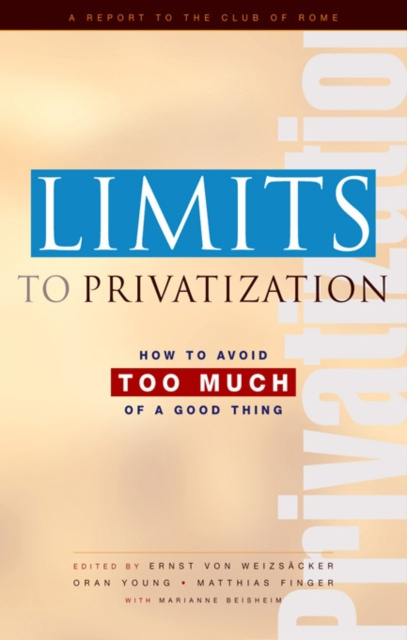 E-Book Limits to Privatization Marianne Beishem