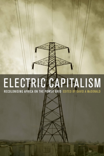 E-book Electric Capitalism David A. McDonald