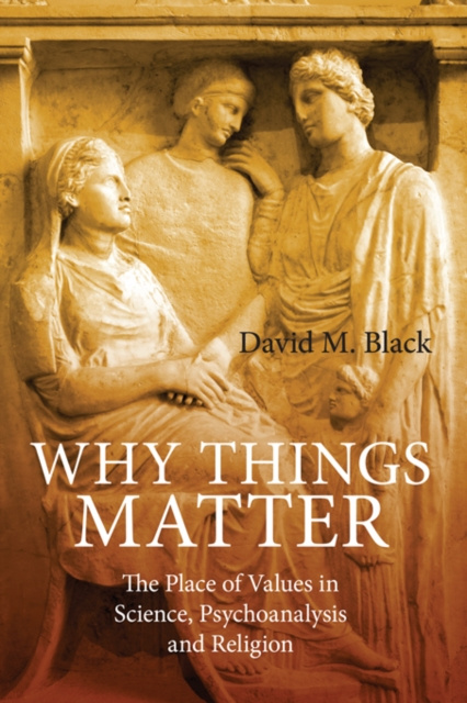 E-kniha Why Things Matter David M. Black