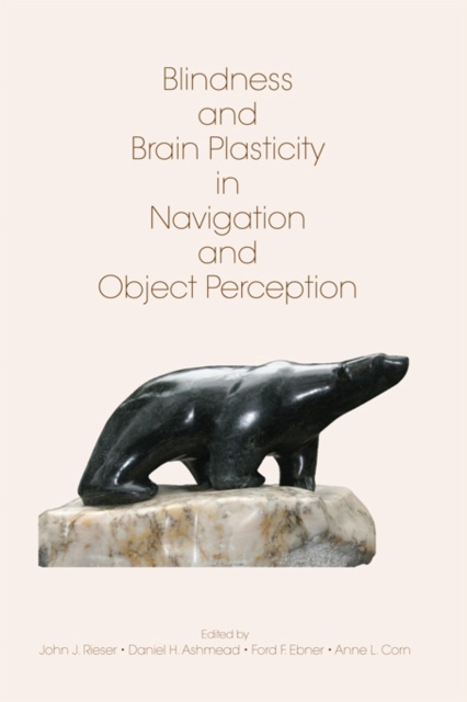 E-book Blindness and Brain Plasticity in Navigation and Object Perception John J. Rieser