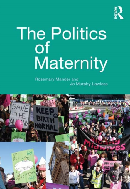 E-book Politics of Maternity Rosemary Mander