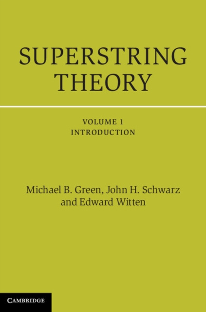 E-kniha Superstring Theory: Volume 1, Introduction Michael B. Green