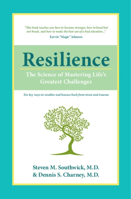 E-kniha Resilience Steven M. Southwick