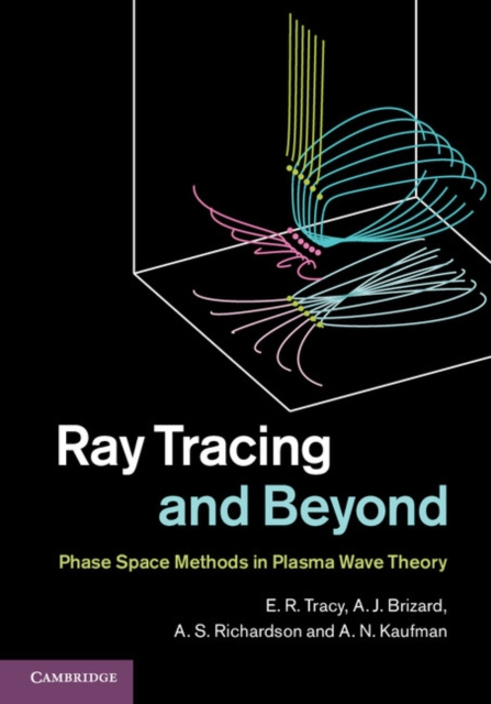 E-knjiga Ray Tracing and Beyond E. R. Tracy
