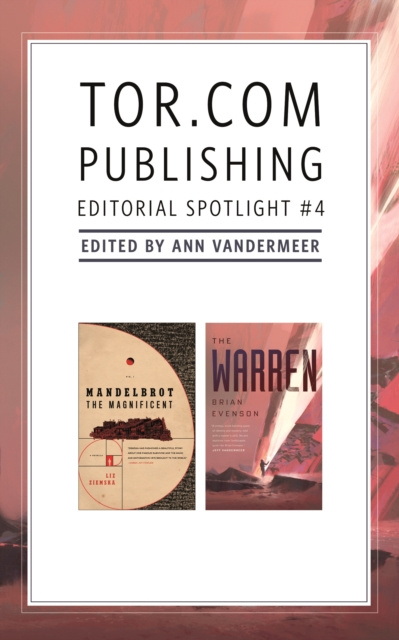 E-knjiga Tor.com Publishing Editorial Spotlight #4 Ann VanderMeer
