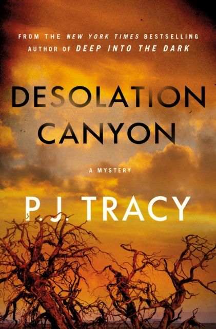 E-knjiga Desolation Canyon P. J. Tracy