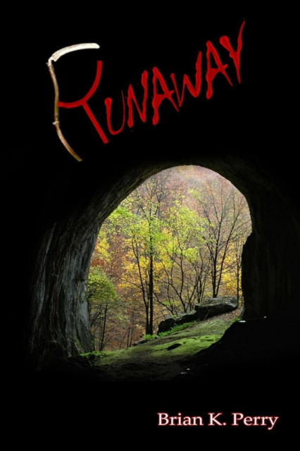 E-knjiga Runaway Perry Brian K. Perry