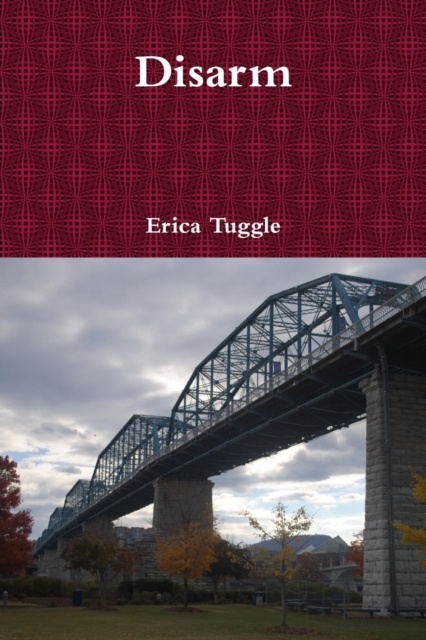 E-knjiga Disarm Tuggle Erica Tuggle