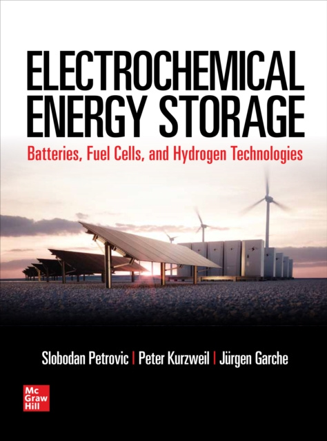 E-kniha Electrochemical Energy Storage Slobodan Petrovic