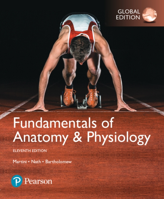 E-kniha Fundamentals of Anatomy & Physiology, Global Edition Frederic H Martini