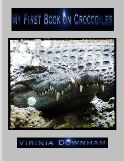 E-knjiga My First Book on Crocodiles Downham Virinia Downham
