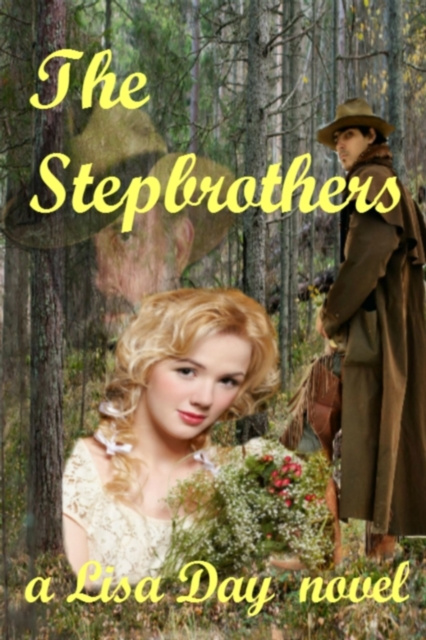 E-book Stepbrothers Lisa Day
