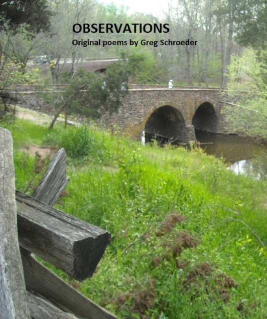 E-knjiga Observations Greg Schroeder