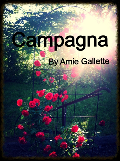 E-knjiga Campagna Amie Gallette