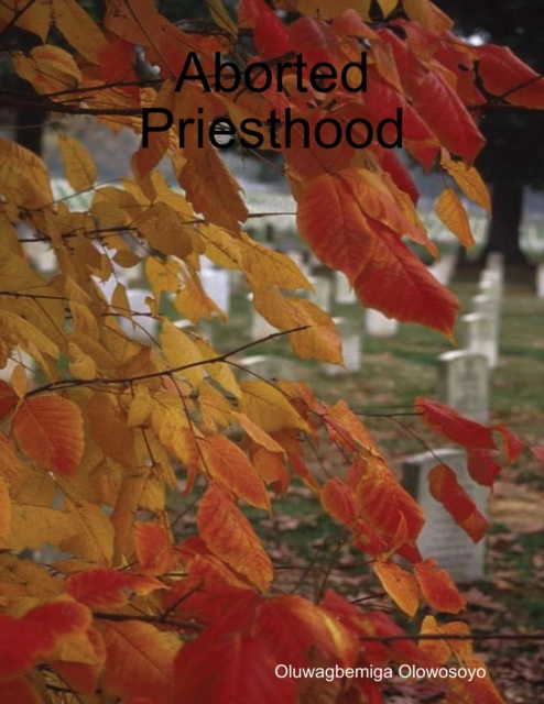 E-knjiga Aborted Priesthood Olowosoyo Oluwagbemiga Olowosoyo