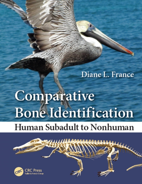 E-kniha Comparative Bone Identification Diane L. France