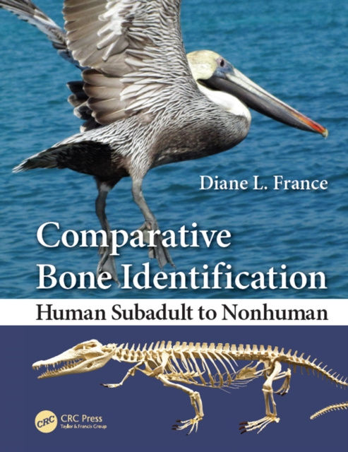 E-knjiga Comparative Bone Identification Diane L. France