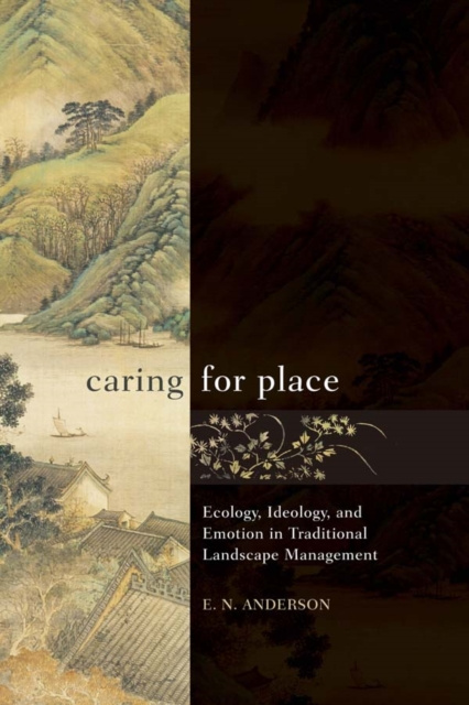 E-knjiga Caring for Place E N Anderson