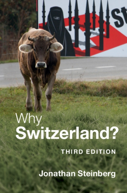 E-kniha Why Switzerland? Jonathan Steinberg