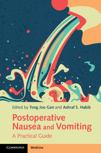 E-kniha Postoperative Nausea and Vomiting Tong Joo Gan