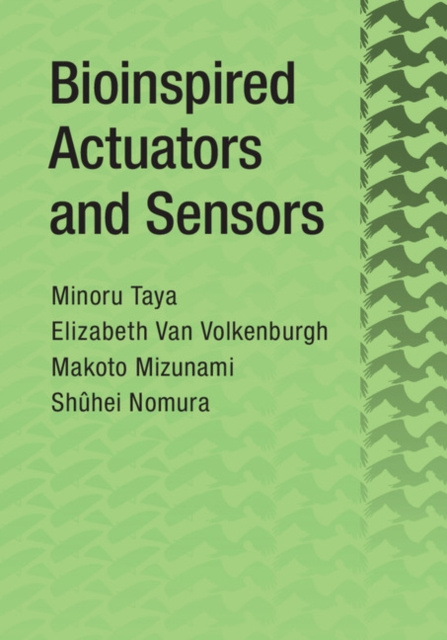 E-kniha Bioinspired Actuators and Sensors Minoru Taya