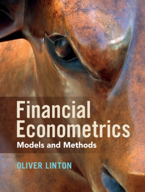 E-kniha Financial Econometrics Oliver Linton