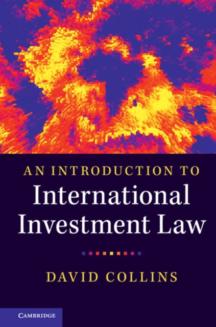 E-kniha Introduction to International Investment Law David Collins