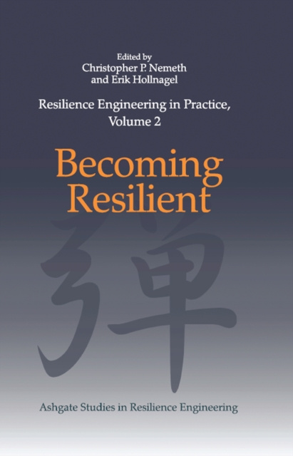 E-book Resilience Engineering in Practice, Volume 2 Christopher P. Nemeth