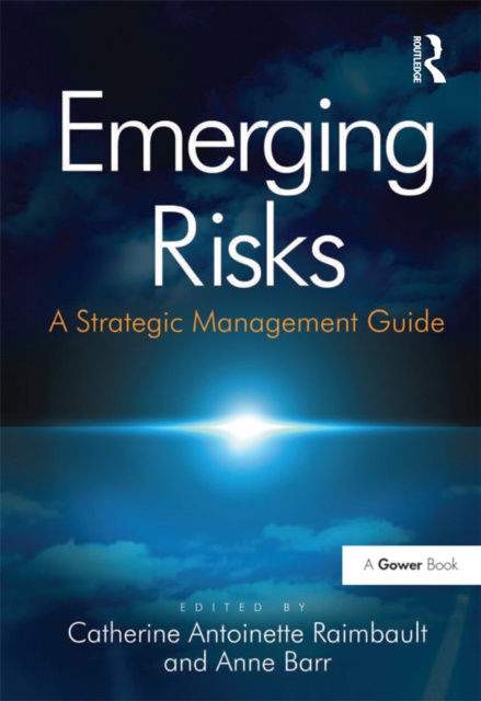 E-knjiga Emerging Risks Anne Barr