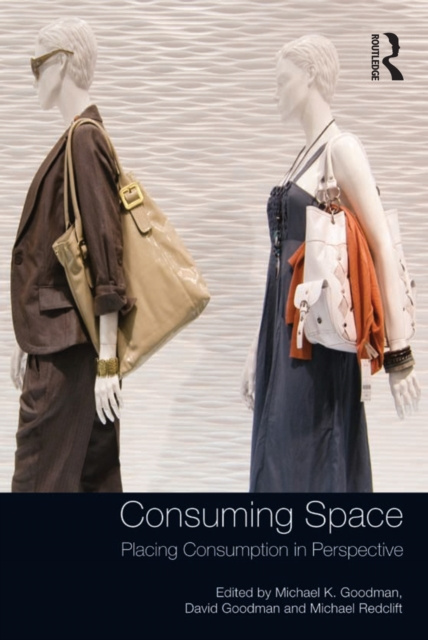 E-knjiga Consuming Space Michael K. Goodman