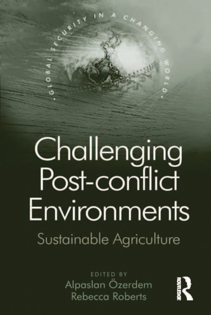 E-knjiga Challenging Post-conflict Environments Alpaslan Ozerdem